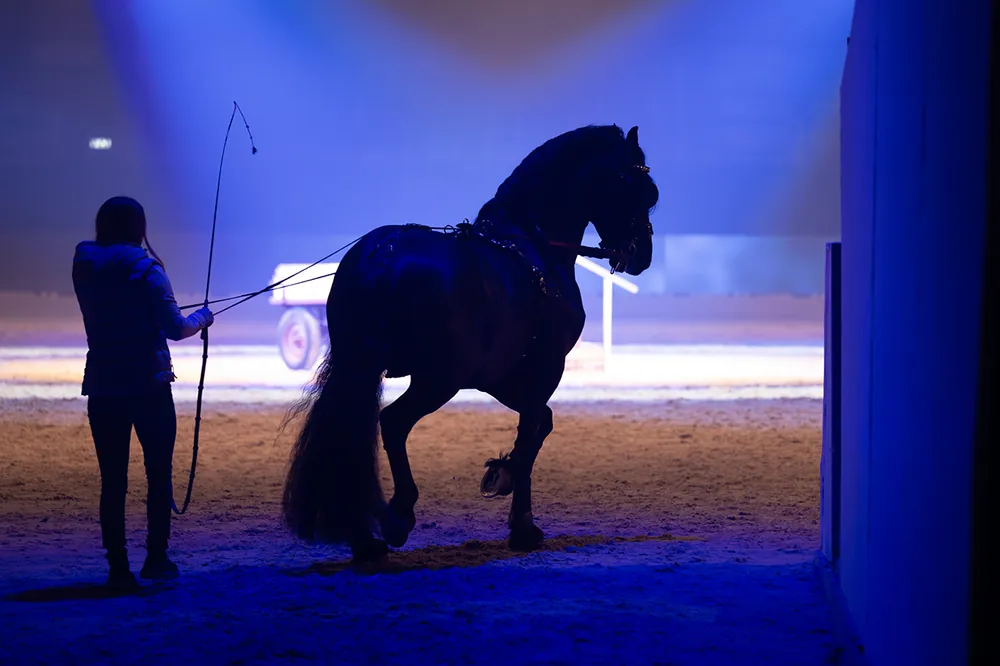 Impressie première januari 2026, foto 5