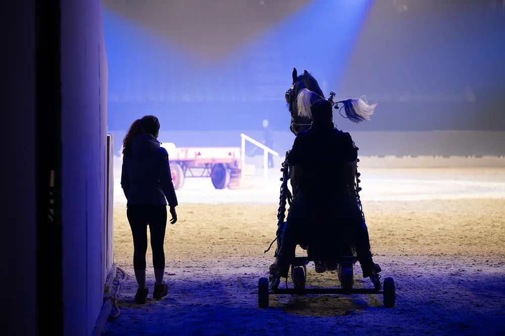 Impressie première januari 2026, foto 6