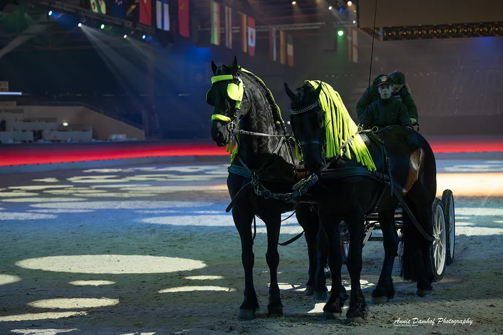 Impressie première januari 2026, foto 11